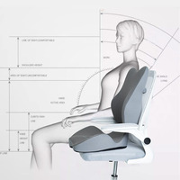 Ensemble coussin de siège ergonomique 2-en-1 et oreiller lombaire en mousse à mémoire de forme, marque privée, design goutte d'eau pour coccyx, certifié OEKO-TEX, vente en gros