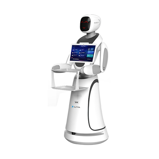ALPHA Commercial Humanoid Robot with AI Navigation for Hotel Restaurant and Shopping Mall Use