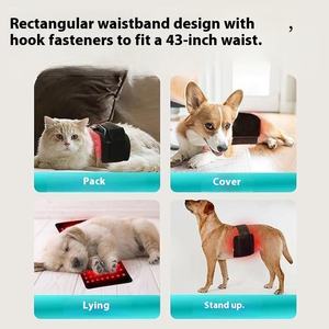 ينصح الطبيب البيطري باليد الحيوانات الأليفة بالأشعة تحت الحمراء للكلاب مفصل العمود الفقري القطني كلب كهربائي - Product Image 2