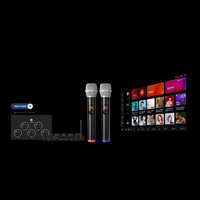 Microphone sans fil professionnel Highmic, mélangeur de karaoké, récepteur HDTV intelligent, effets de réverbération, contrôle de l'égaliseur pour système audio domestique, fête