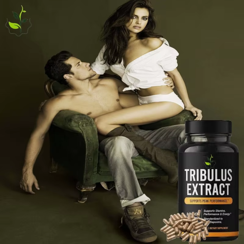 Порошок экстракта springjia-biotech tribulus terrestris в капсулах