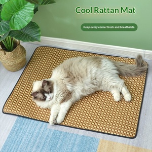 Haustier-Kühlmatte & Katzenbett Gewebtes Rechteckiges Design Atmungsaktive Abnehmbare & Waschbare Rattan-Matte für Katzenkäfig Ganzjährig Nutzbar - Product Image 2