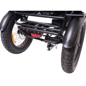 Precio barato de fábrica BAFANG motor Bosch bicicleta eléctrica de pasajeros triciclo velomóvil marco etrike suspensión con bolsa impermeable - Product Image 5