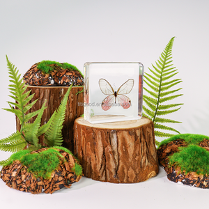 <span class=keywords><strong>Papillon</strong></span> coloré en résine époxy, cristal transparent, décoration d'intérieur, <span class=keywords><strong>papillon</strong></span> du coucher du soleil, presse-papier en résine, jouets pour enfants - Product Image 4