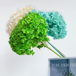 <span class=keywords><strong>Hortensia</strong></span> séchée conservée, <span class=keywords><strong>fleurs</strong></span> volumineuses <span class=keywords><strong>séchées</strong></span> Anna <span class=keywords><strong>hortensia</strong></span>, décorations de mariage, <span class=keywords><strong>hortensia</strong></span> pagode, vente en gros, 2023 - Product Image 6