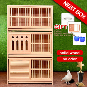 Toutes les saisons Cage commerciale en bois pour oiseaux Cage pour pigeons d'élevage Cage pour pigeons