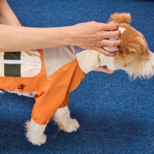 Tuta Sportiva Regolabile Antivento Impermeabile Traspirante in Poliestere con Cerniera Posteriore per Cani di Taglia Grande e Razze come Pitbull - Product Image 4