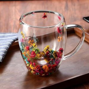Low Moq Handmade High Borosilicate <b>Double</b> <b>Wall</b> Glass <b>Mug</b> Cup with Dry Flower - Product Image 6
