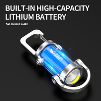 Mini lampe torche LED rechargeable, lampe de poche portable, lumière USB EDC pour porte-clés, pour le camping, la randonnée et les activités de plein air