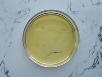 Extrait d'ail vieilli à l'allicine et au dialyl trisulfide 100:1, emballage en vrac, huile d'ail inodore