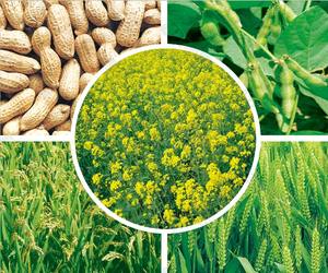 <span class=keywords><strong>Charbon</strong></span> <span class=keywords><strong>actif</strong></span> végétal granulaire <span class=keywords><strong>charbon</strong></span> <span class=keywords><strong>actif</strong></span> pour composés organiques carbone prix Activ - Product Image 3