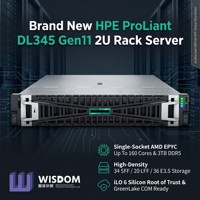 Servidor de Alto Rendimiento HPE ProLiant DL345 Gen11 2U, AMD EPYC 9124, 64 GB de RAM DDR5, PCIe 5.0, Servidor en Rack para Análisis de Big Data