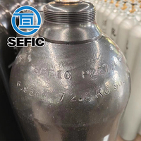 Iso9809-1 rechargeable 50l 300bar 229mm Tped oxygène azote argon hélium Co2 bouteille pour le marché brésilien