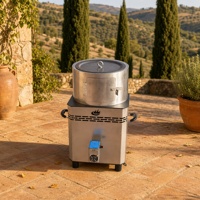 Poêle à bois à haute efficacité avec assistance à l'air, corps en acier inoxydable, combustion turbo sans fumée pour le chauffage domestique et les ateliers