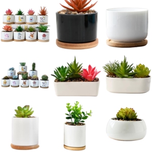 Lớn Nhỏ Hình Lục Giác Trắng Gốm Bìa 10-Mảnh Chậu Hoa Nồi Tre Khung Lót Vườn Trang Trí Nội Thất Kit Bền Hiện Đại - Product Image 6