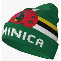 Bonnet tricoté unisexe avec drapeau nigérian, prix de gros, pour femmes et hommes, bonnet tricoté tendance, chaud et doux pour l'hiver, bonnet de ski extensible