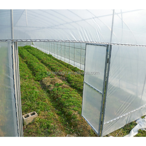 <span class=keywords><strong>Serre</strong></span> agricole en acier galvanisé avec couverture en film pour la culture de légumes et de fleurs - Product Image 4