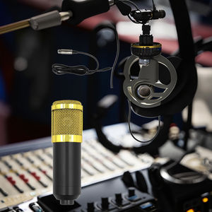 BM800プロ用ミニコンデンサーマイクカーディオイドプラスチック有線デスクトップPC電話ポータブルスタジオレコーディングスマートボックスメタル - Product Image 5