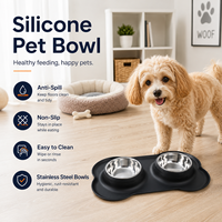 Bols pour chiens et chats en acier inoxydable double paroi avec logo personnalisé et tapis d'alimentation en silicone en forme d'os pour nourriture et eau pour animaux de compagnie