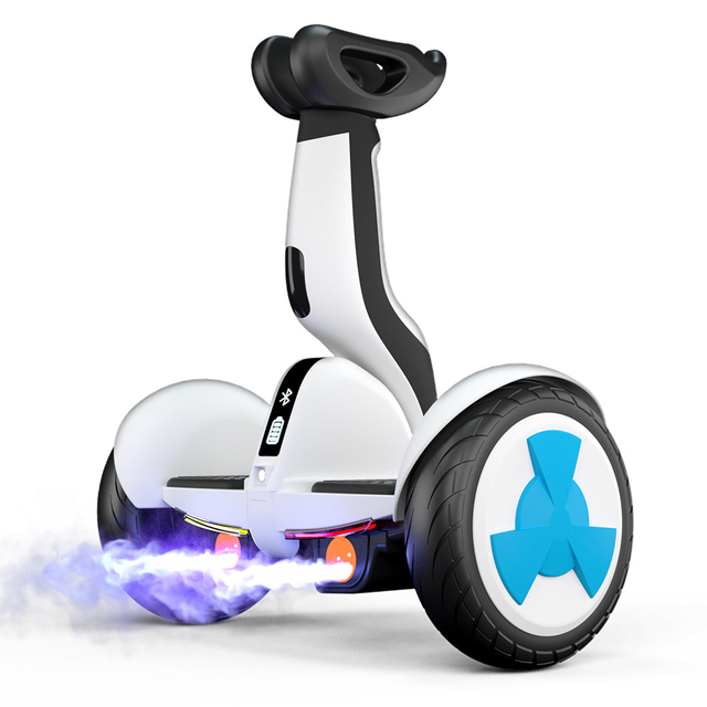 High Performance Electric 10-Inch All-Terrain Self-Balancing Scooter with 700W Motor Alloy Steel Frame for Middle East Market