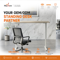 Bureau de travail intelligent à hauteur réglable avec système de levage électrique, design asiatique en fer, avec un seul moteur