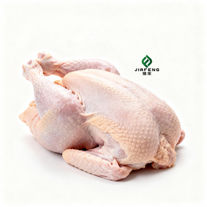 Direct van de fabriek: verse diepvries hele kippen - hormoonvrij, geen waterinjectie, geïntegreerde slacht- en verwerkingsproces - Product Image 4