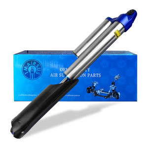 2010-2016 <span class=keywords><strong>Amortisseur</strong></span> de suspension pneumatique de voiture automatique de haute qualité ASH-24541 BL3Z18125J arrière pour F150 SVT Raptor STX XLT - Product Image 3