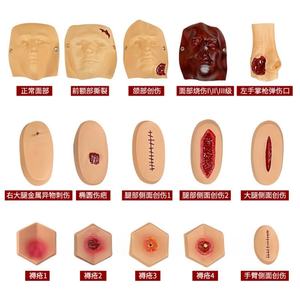 43 PCS Primeros auxilios Trauma Modelos de enfermería Juego de evaluación de trauma Simulación avanzada Juego de módulos de evaluación de Trauma - Product Image 2