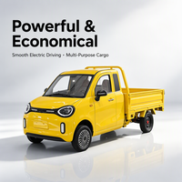 Fourgonnette électrique à 4 roues, mini camionnette fermée pour la livraison urbaine et le transport de colis