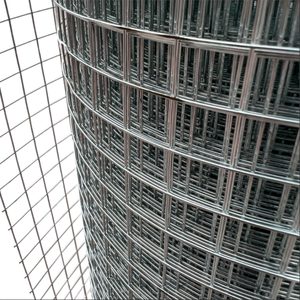 Rollo de malla de hierro galvanizado en caliente barato, malla de alambre soldada eléctrica de acero inoxidable recubierta de PVC para valla de jaula de pollo - Product Image 3