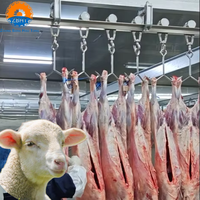 Ligne d'abattage de moutons/chèvres/agneaux en acier inoxydable à haute efficacité, équipement d'abattoir, capacité de 10 à 2000 animaux