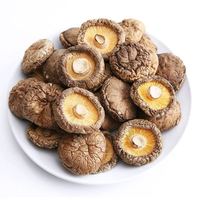 Champignons Shiitake Séchés de Haute Qualité, Aliment Séché de Qualité Supérieure, Champignons Shiitake en Gros à Prix Compétitif