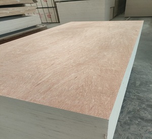 Contrachapado de Alta <span class=keywords><strong>Calidad</strong></span> para Muebles con Revestimiento de Okoume/Bintangor/Pino/Abedul/Cedro, a Bajo <span class=keywords><strong>Precio</strong></span> - Product Image 2