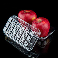 Supermarkt Vers Dienblad Wegwerp Huisdier Plastic Heldere Fruit En Groente Verpakking Rauw Food Grade Voor Sushi Premium Kwaliteit