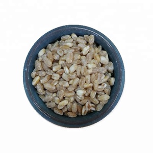 Chất Lượng Cao 100% Tinh Khiết Hữu Cơ Hạt Lúa Mì Giá Rẻ Giá Bán Buôn Cho Thực Phẩm - Product Image 5