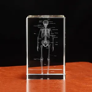 3D Crystal Glass Human Skeleton Anatomical LASER Engraving Cube Paperweight For Study Tool