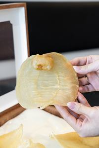 Produits alimentaires tonifiants haut de gamme : Gelembung Ikan Kembung (vessie de poisson) – Cadeau idéal pour le Festival du Printemps et le Festival de la Mi-<span class=keywords><strong>Automne</strong></span> - Product Image 3