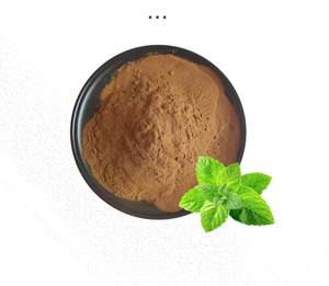 Wildminzblatt-Kräuterextrakt 10:1 Lebensmittelqualität Pulver Wasserlöslich Musteranfrage & Kostenloser Versand Möglich - Product Image 1