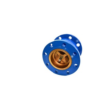 Válvula de Retención HC41X con Brida, Sellado de Bronce, para Agua a Temperatura Normal, Operación Manual, Uso General - Product Image 1