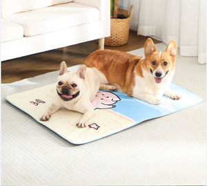 Ouspie แผ่นปูเตียงสุนัขเย็นด้วยตนเองผ้าทำน้ำแข็งทำจากผ้าสี่เหลี่ยมทนทานทนทาน - Product Image 2