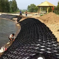 Stabilisateur de gravier Hdpe Geocell 50mm Geo Cell Prix du fabricant Geocell Grille au sol pour allée de passerelle de terres agricoles