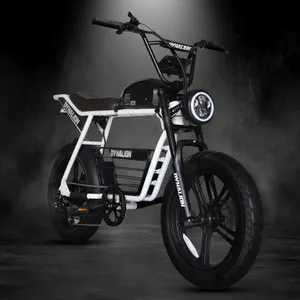Xe đạp điện cho người lớn Ebike với 1000W động cơ không chổi than 48V/16ah 20x4.0 chất béo lốp, lên đến 32mph xe máy xe đạp điện