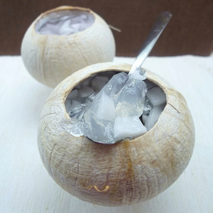 Gelée de coco Nata de Coco du Vietnam pour Bubble Tea – Cubes de gelée de coco en vrac pour les salons de thé, les marques de boissons et les services de restauration - Product Image 1
