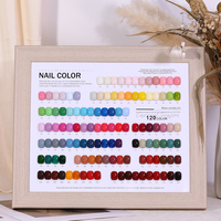 Fournisseurs de produits pour les ongles TPO HEMA Free 3000 couleurs Vernis à ongles en gel UV Non toxique Professionnel Français DIY Marque privée Ensemble en gros