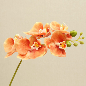 Orquídea Phalaenopsis Blanca de Tallo Corto Simulada de Alta Calidad, Planta Artificial para Fotografía con Tacto Húmedo y Realista - Product Image 2