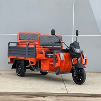 Tricycle électrique cargo à double usage 1000W, siège arrière pliable de 500kg pour le transport agricole ou la mobilité locale