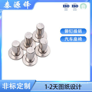 Rivets à tête plate en acier inoxydable 304, broches solides pour la personnalisation des sièges de voiture, pièces non standard GDTYF - Product Image 5