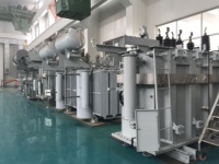 Transformateurs 20 MVA Fournisseur d'huile de transformateur 69 kV à 13,8 kV Transformateur de distribution immergé dans l'huile triphasé 5000 kVA