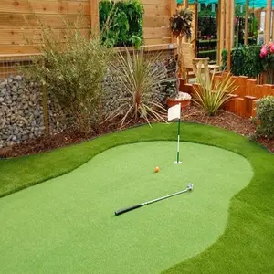 Office 2 Holes Golf Pitch PP Golf Putting Green Carpet