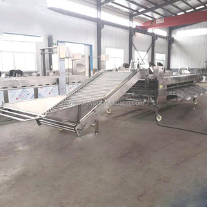 Classificateur de type rouleau 8-10 T/h pomme carotte pomme pomme oignon machine de classement taille machine de tri avec le meilleur prix - Product Image 4